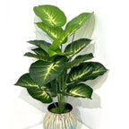 Simulation Green Plant 12-24 Head Beam Round Back Of Turtle Wall Decoration Garden
