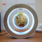 Globe LED Rond Mappemonde Flottant Lévitation Magnétique Lumière Anti-Gravité Magique